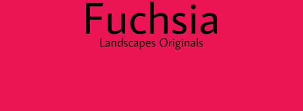 IxCHeL Fibre & Yarns Colour swatch of Fuchsia Landscapes Dye