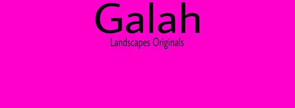 IxCHeL Fibre & Yarns Colour swatch of Galah Landscapes Dye