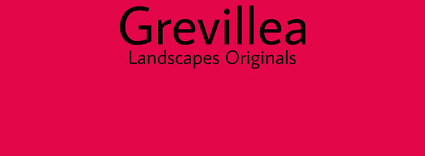IxCHeL Fibre & Yarns Colour swatch of Grevillea Landscapes Dye