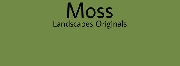 IxCHeL Fibre & Yarns Colour swatch of Moss Landscapes Dye
