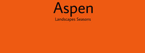 IxCHeL Fibre & Yarns Colour swatch of Aspen Landscapes Dye