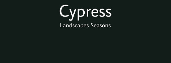 IxCHeL Fibre & Yarns Colour swatch of Cypress Landscapes Dye