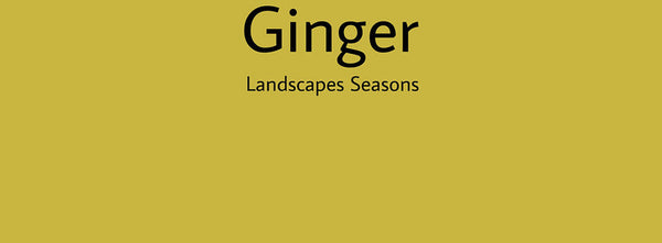 IxCHeL Fibre & Yarns Colour swatch of Ginger Landscapes Dye