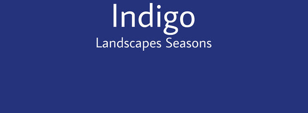 IxCHeL Fibre & Yarns Colour swatch of Indigo Landscapes Dye