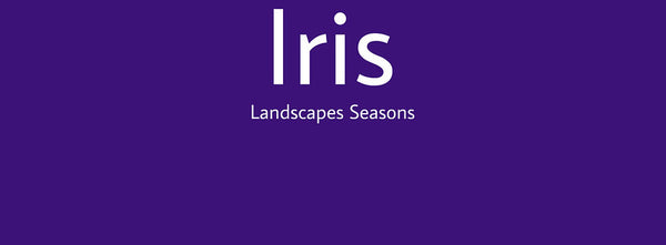 IxCHeL Fibre & Yarns Colour swatch of Iris Landscapes Dye