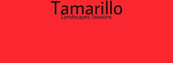 IxCHeL Fibre & Yarns Colour swatch of Tamarillo Landscapes Dye